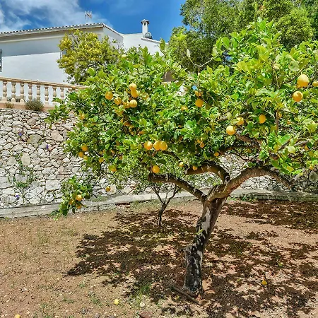 Villa Sindi Calpe